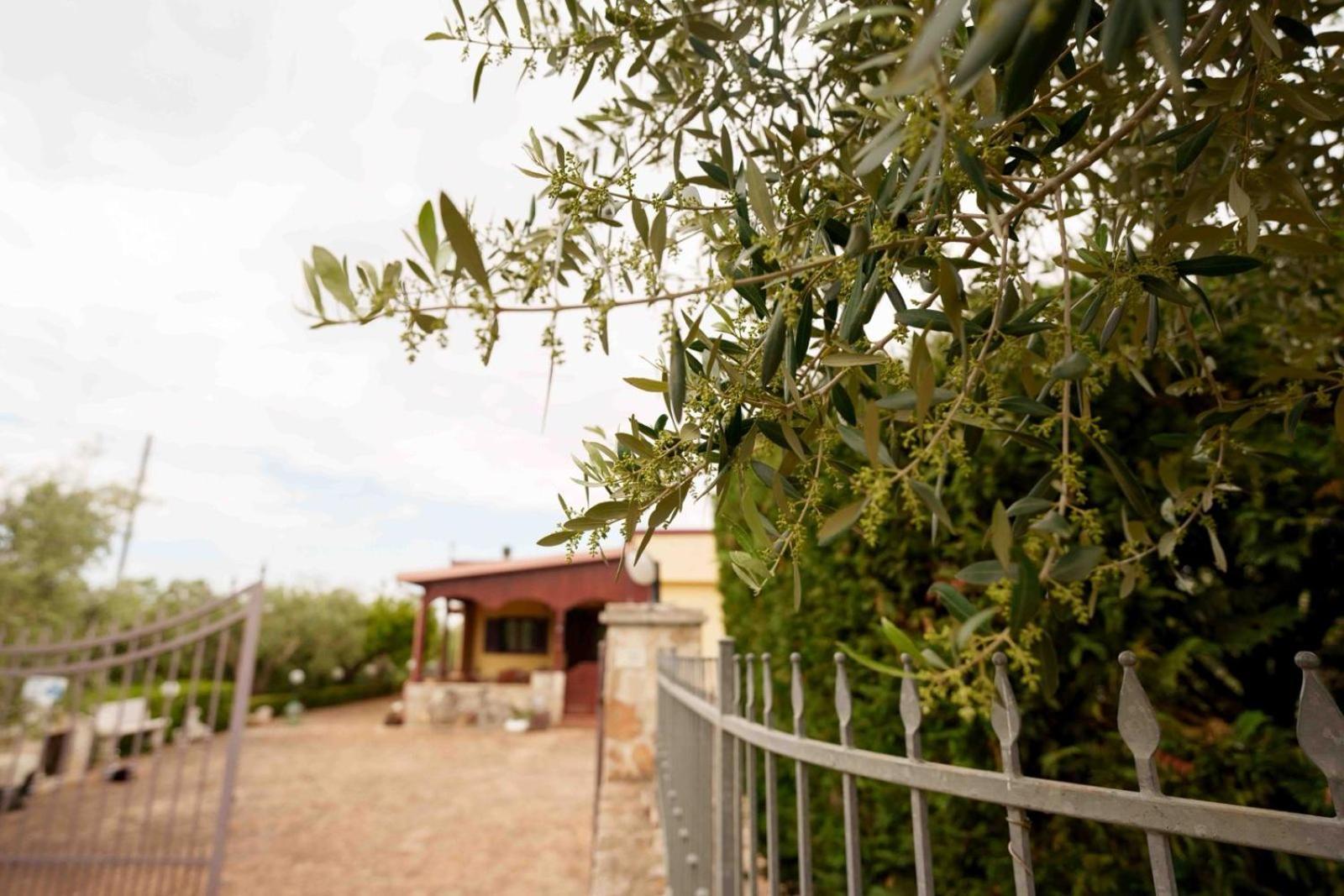 Villa Mario Mottola Exteriér fotografie